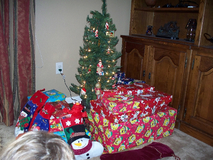 101_0008.JPG