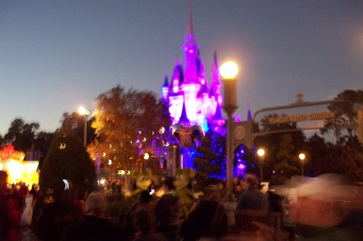 100_0323.JPG