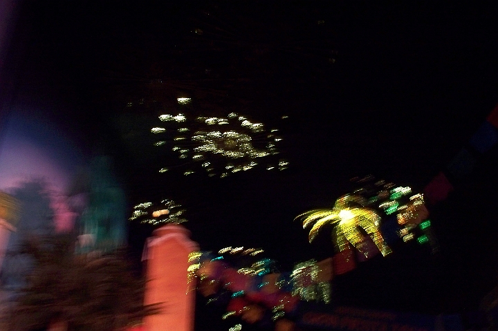 100_0370.JPG