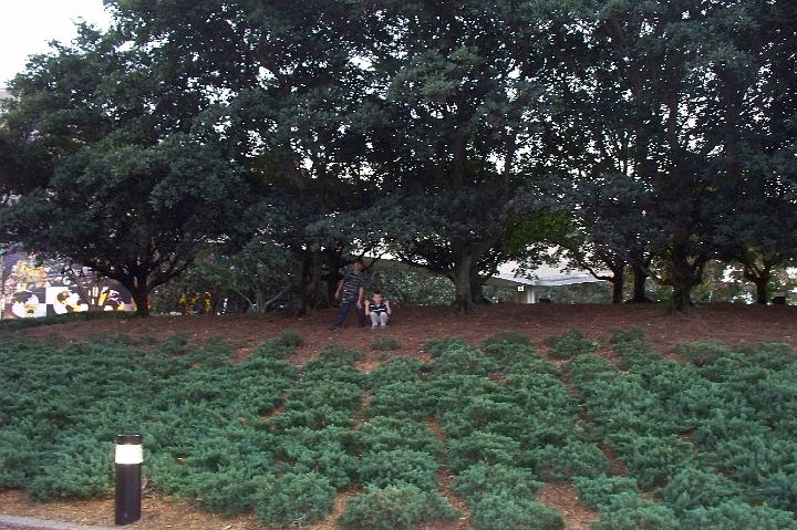 100_0375.JPG