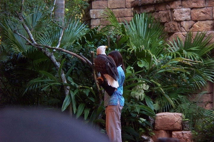 100_0378.JPG