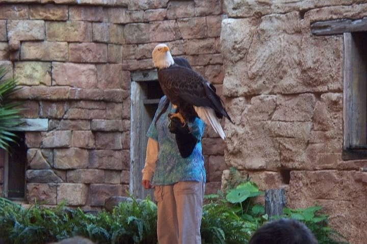 100_0379.JPG