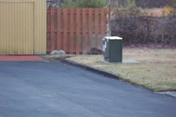 100_0460.JPG