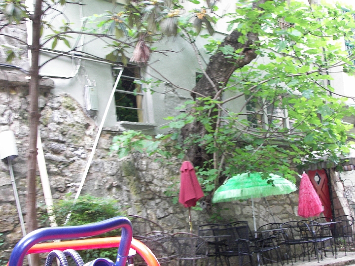 100_0869.JPG