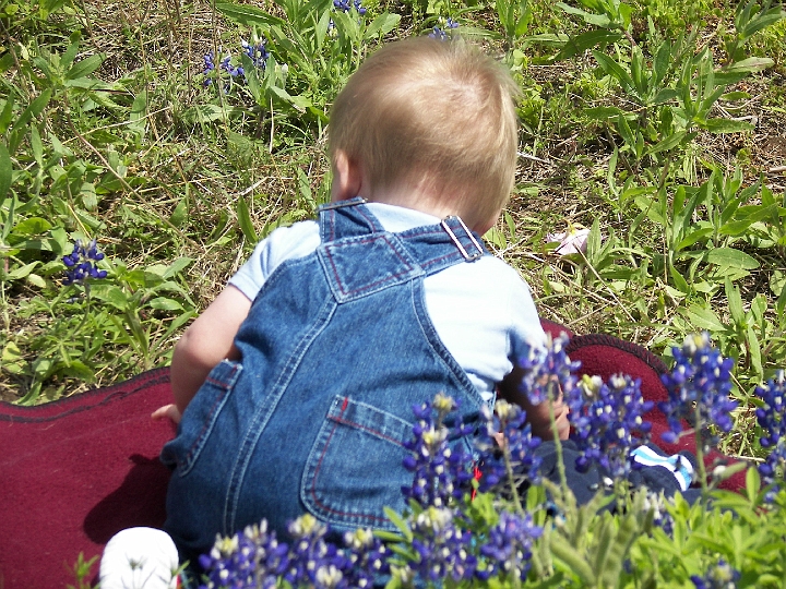 100_0884.JPG