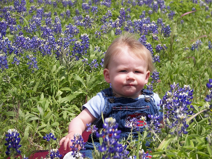 100_0885.JPG