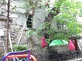 100_0869