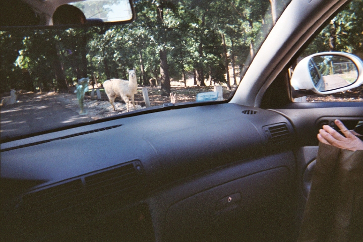 005_2A.JPG