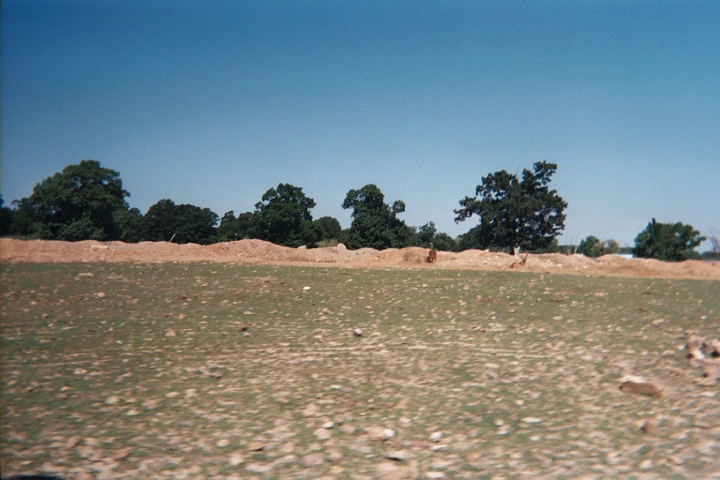 011_8A.JPG