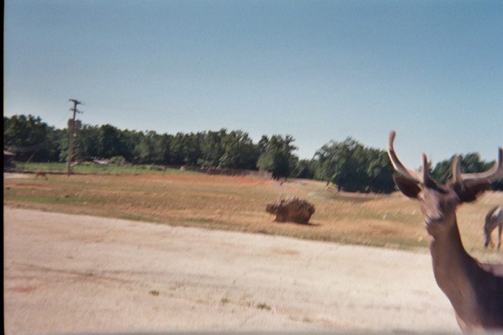013_10A.JPG