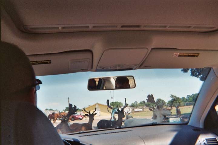 016_13A.JPG