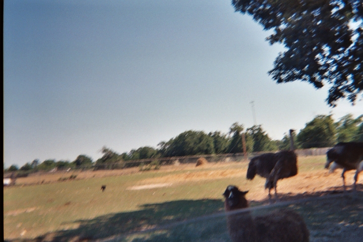 017_14A.JPG
