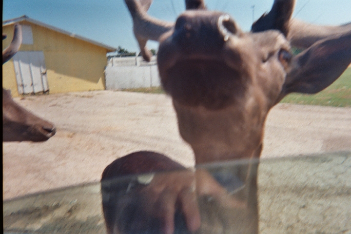 018_15A.JPG
