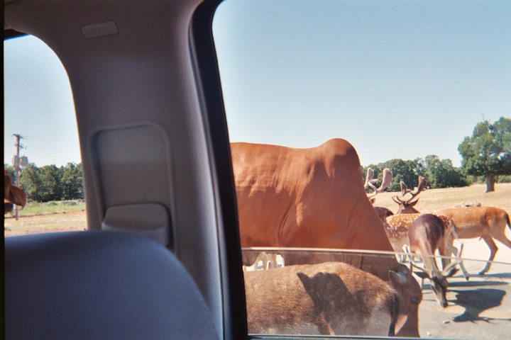 020_17A.JPG