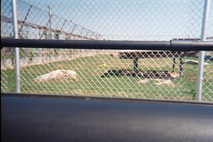 024_21A.JPG