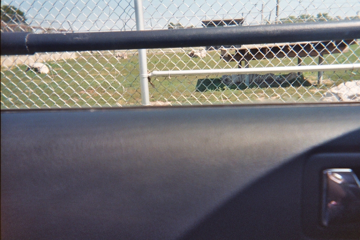 026_23A.JPG