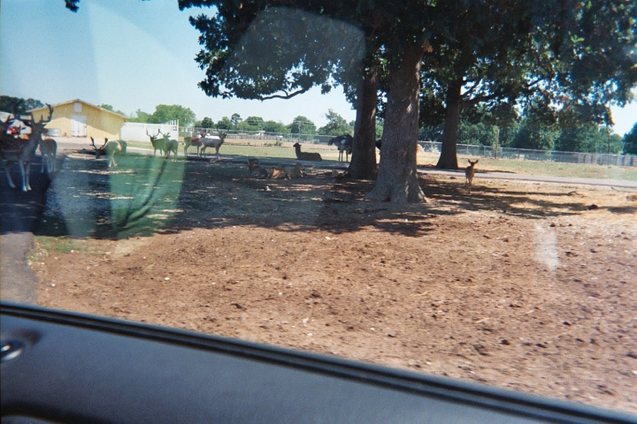 013_11A.JPG