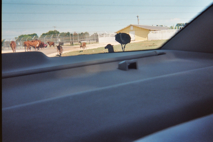 014_12A.JPG