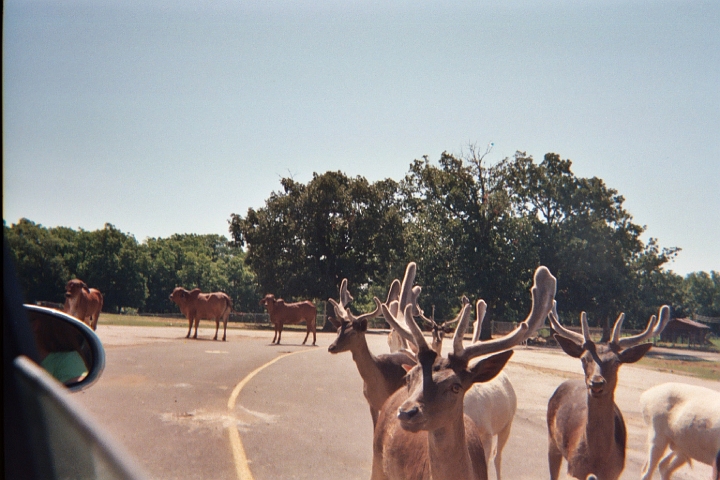 016_14A.JPG