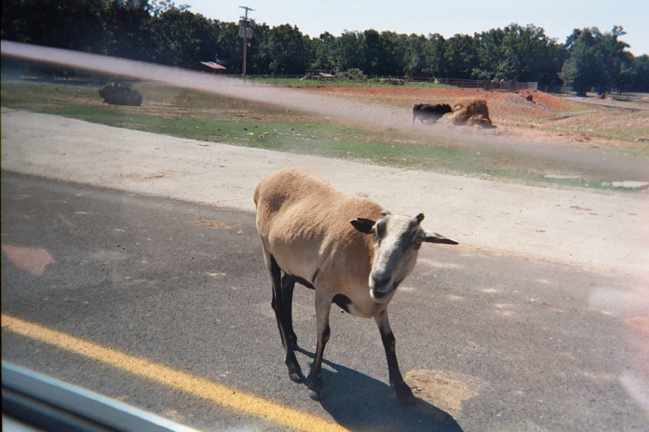 019_17A.JPG