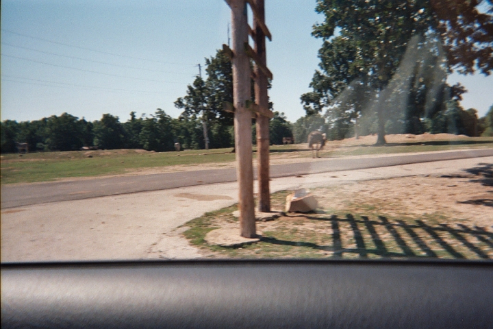 024_22A.JPG