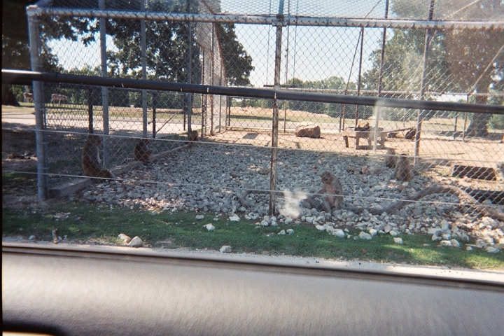 025_23A.JPG