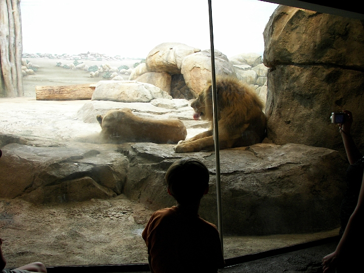 100_1096.JPG