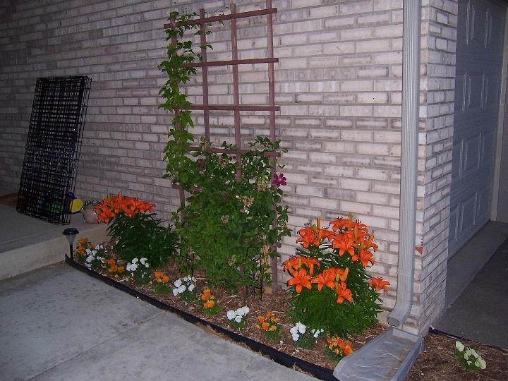 100_2492.JPG