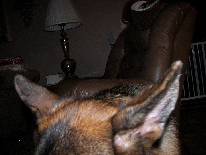 100_1763.JPG