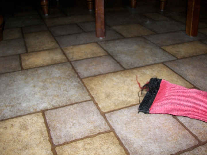 100_1764.JPG